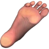 foot - マネキン - 