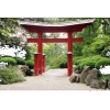 japanese garden - 背景 - 