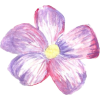 painted purple flower - Plantas - 
