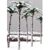 palm trees - Background - 