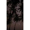 palm trees at night - Natura - 