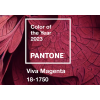 pantone 2023 color of the year - Minhas fotos - 