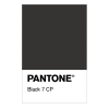 pantone black - Minhas fotos - 