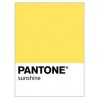 pantone yellow - Minhas fotos - 