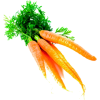 Carrot - Vegetales - 