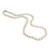 pearls - Necklaces - 