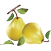 pears - 食品 - 