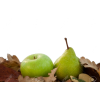 pears and leaves - Rastline - 