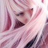 people - 模特（真人） - 