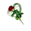 ruža - Rastline - 