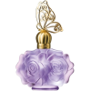 perfume - Perfumy - 