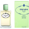 perfume - Perfumy - 