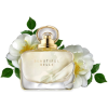 perfume - Düfte - 