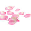 petals - Predmeti - 