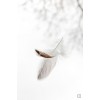 picture - Ilustrationen - 