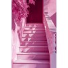 picture - Illustraciones - 