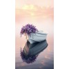 picture - Illustrations - 