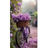 picture - Illustrations - 