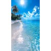 picture - Ilustracje - 