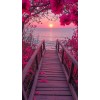 picture - Illustrations - 