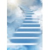 picture - Illustrazioni - 