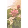 picture - 插图 - 