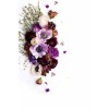 picture - Piante - 