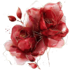 picture - 植物 - 
