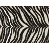 zebra - 背景 - 