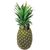 pineapple - Food - 