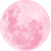 pink moon - Natural - 