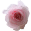 Pink Rose Flower - イラスト - 
