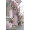 pink spring - Uncategorized - 