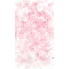 pink design - Background - 