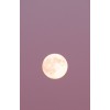 pink moon background - Uncategorized - 