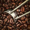 pixabay roasted coffee beans - Przedmioty - 