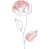 plant - Biljke - 
