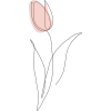 plant - Piante - 