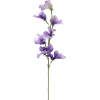 plant - Rośliny - 