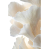 plant - Piante - 