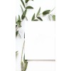 plant - Biljke - 