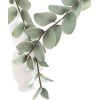 plant - 植物 - 