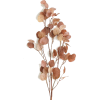 plant - Rastline - 