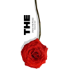 plant - Tekstovi - 