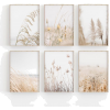plant. frame - Растения - 