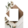 plant. frame - Biljke - 