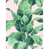 plants - Background - 