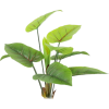 plants - Plantas - 