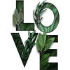 plant text love - 植物 - 