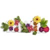 png, flowers, fiori, staccionata - 自然 - 